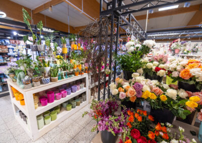 Rewe-Zwingel-Weisendorf-Blumen