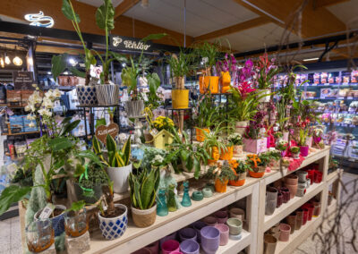 Rewe-Zwingel-Weisendorf-Blumenecke